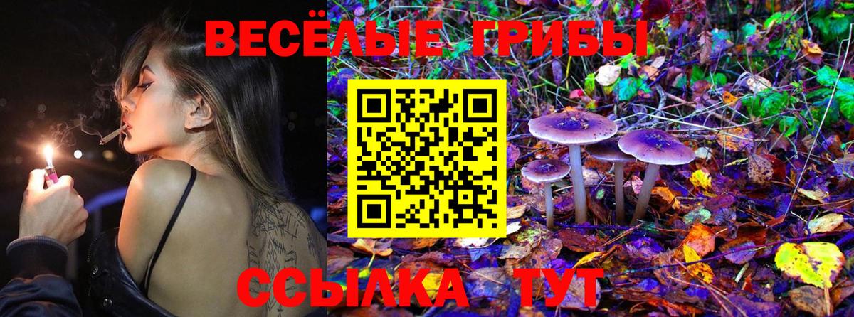 Галлюциногенные грибы MAGIC MUSHROOMS Чебаркуль